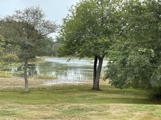 water view