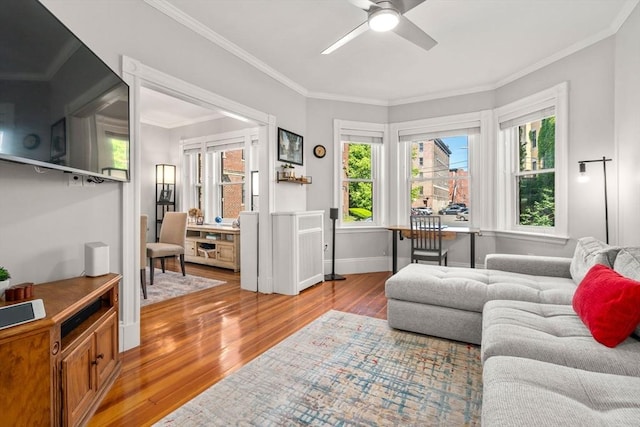 17 Park Vale Unit 2, Brookline, MA 02446 - living area featuring a ceiling fan, wood finished floors, plenty of natural light, crown molding, and baseboards