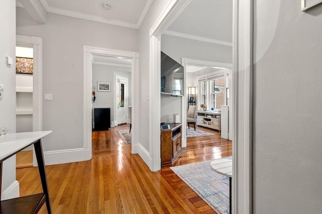 17 Park Vale Unit 2, Brookline, MA 02446 - hall featuring wood finished floors, crown molding, and baseboards