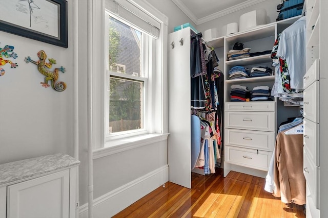 17 Park Vale Unit 2, Brookline, MA 02446 - walk in closet featuring light wood-style floors