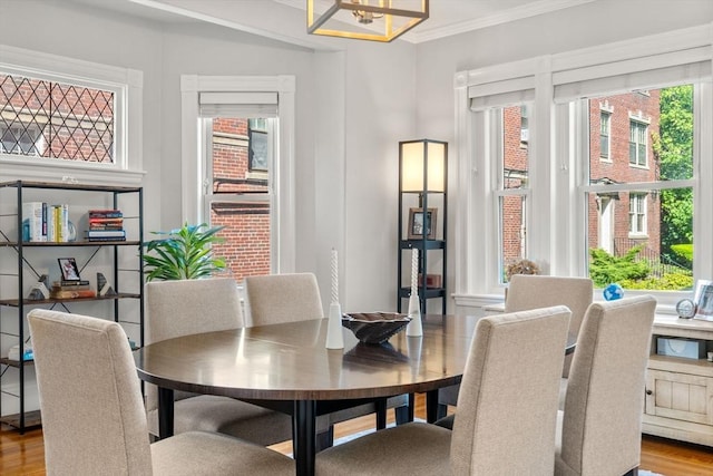 17 Park Vale Unit 2, Brookline, MA 02446 - dining room featuring wood finished floors, ornamental molding, and a chandelier