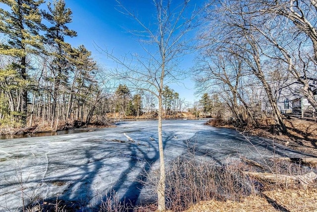 view of yard featuring a forest view and a water view