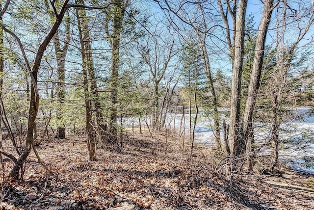 view of water feature with a wooded view