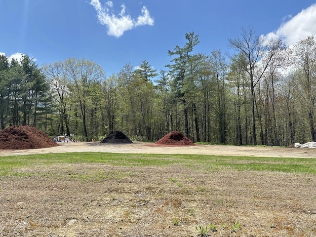 45 Gardner Rd, Hubbardston, MA 01452 - view of yard with a wooded view