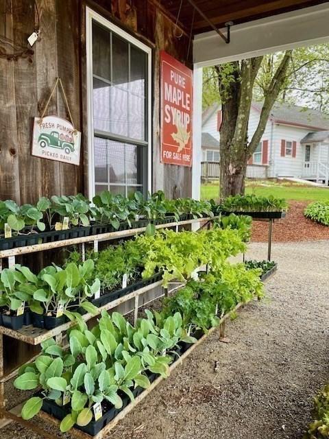 45 Gardner Rd, Hubbardston, MA 01452 - exterior view of a garden
