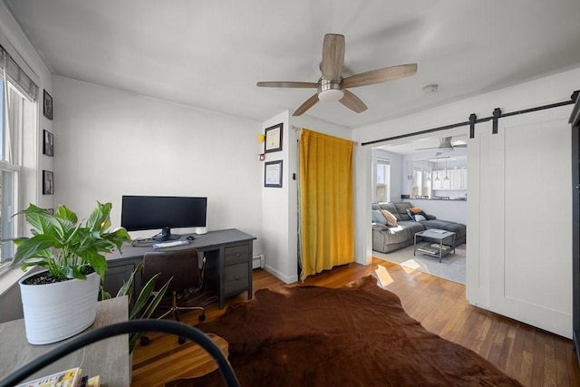 office featuring a barn door, wood finished floors, and a ceiling fan