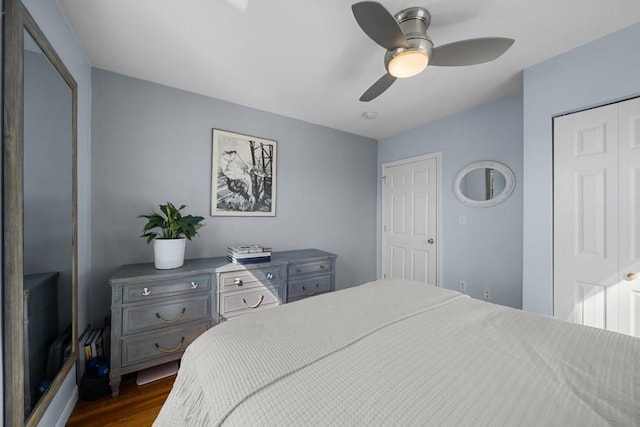 bedroom featuring ceiling fan, dark wood finished floors, and a closet