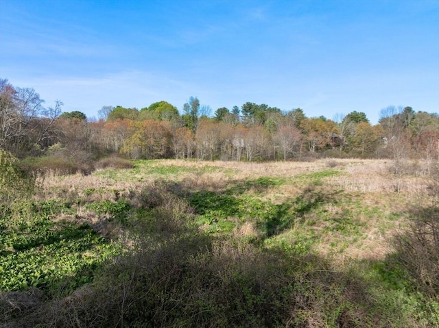 view of local wilderness featuring a forest view