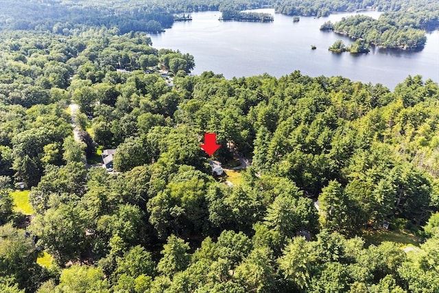 117 Woodland Dr, Lunenburg, MA 01462 - drone / aerial view of a nearby body of water and a heavily wooded area