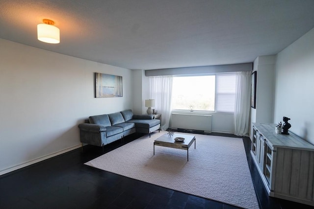 living room with radiator heating unit