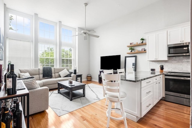 743 E 4th Unit 204, Boston, MA 02127 - living area with light wood-style floors and ceiling fan