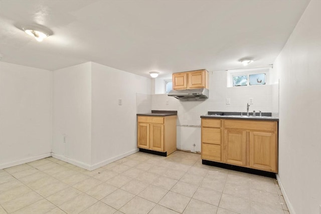 23 Gordon St, Boston, MA 02134 - kitchen featuring under cabinet range hood, a sink, tasteful backsplash, and dark countertops