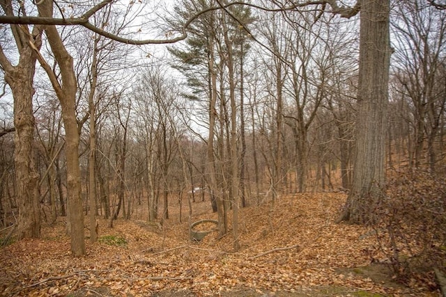 view of landscape