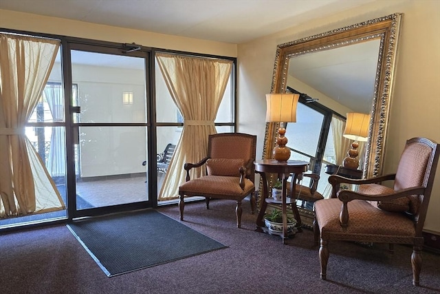 47 Mystic St Unit 4E, Arlington, MA 02474 - sitting room with carpet