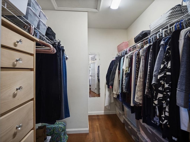 walk in closet featuring attic access and wood finished floors