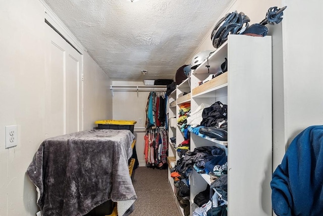 spacious closet featuring carpet