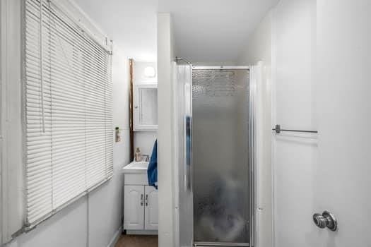 90 Rochelle St, Springfield, MA 01109 - bathroom with a shower and vanity