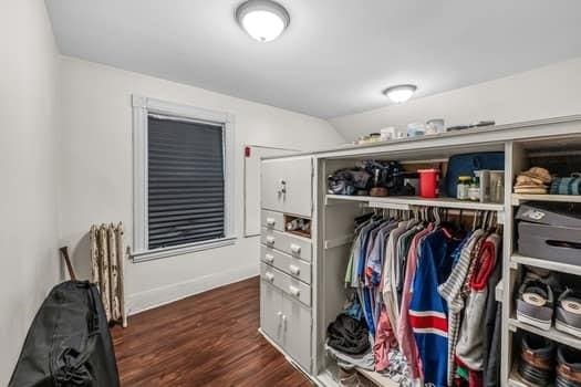 90 Rochelle St, Springfield, MA 01109 - spacious closet with lofted ceiling and wood finished floors