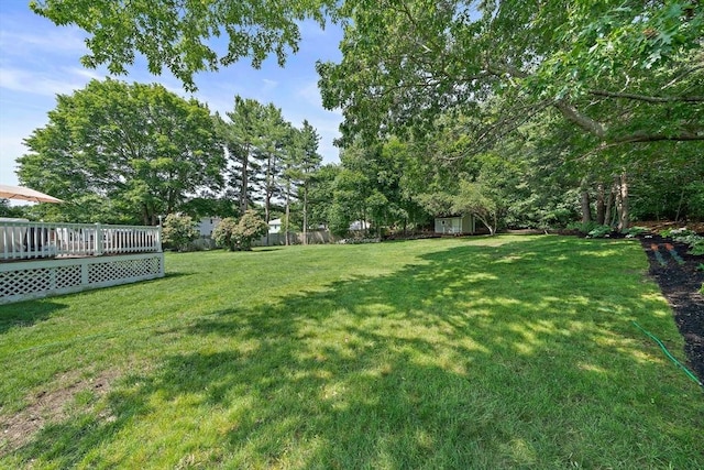 7 Helen Rd, Braintree, MA 02184 - view of green lawn featuring a deck and a storage shed