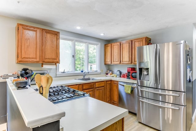 kitchen with light hardwood / wood-style floors, sink, and stainless steel appliances