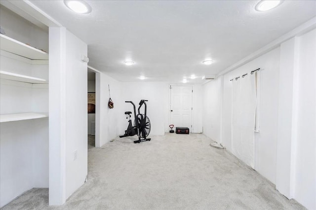 66 Hamilton St Unit 3, Leominster, MA 01453 - workout room with carpet floors