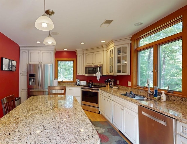 131 Sandgully Rd N, Deerfield, MA 01373 - kitchen featuring stainless steel appliances, a sink, glass insert cabinets, light wood-style floors, and pendant lighting