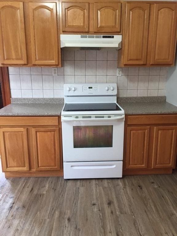 13 Elm St, Webster, MA 01550 - kitchen with white range with electric stovetop, under cabinet range hood, tasteful backsplash, and light wood finished floors