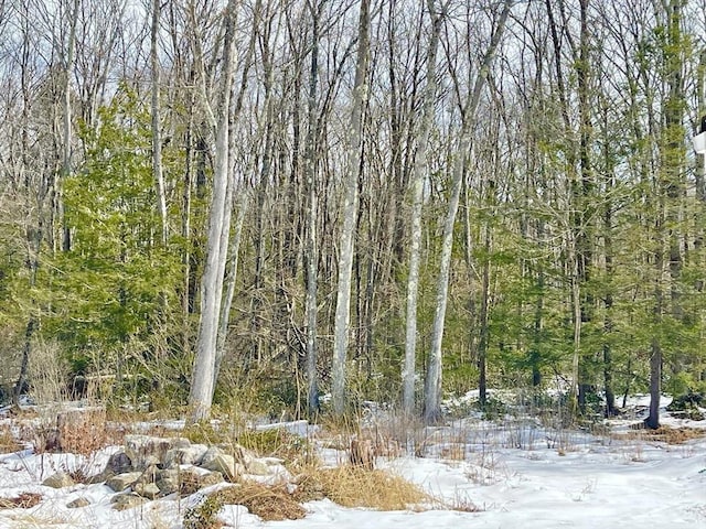 snowy view with a wooded view