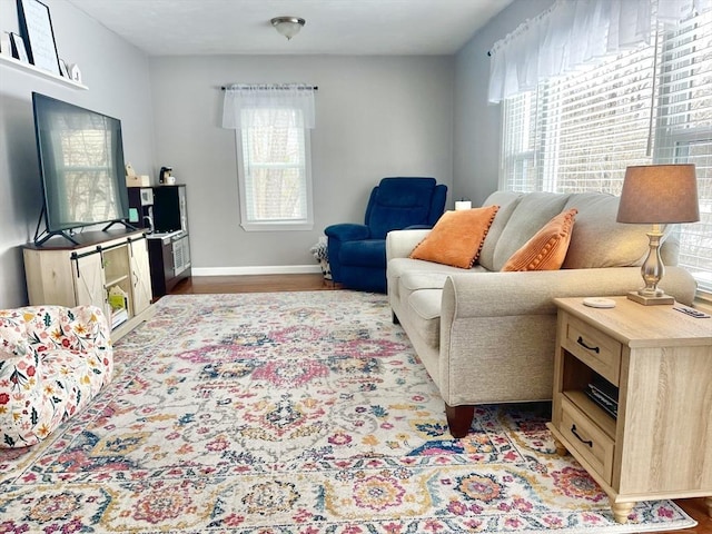 living room with baseboards and wood finished floors