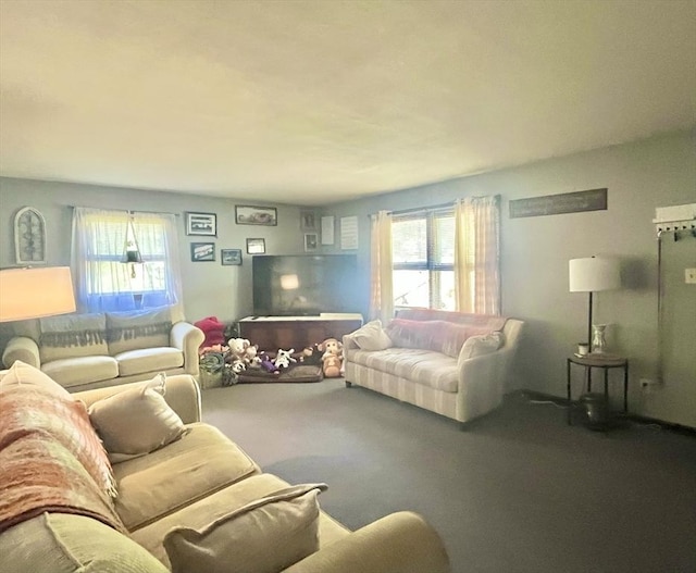 15 Old County Rd, Holland, MA 01521 - living area featuring carpet flooring and a wealth of natural light