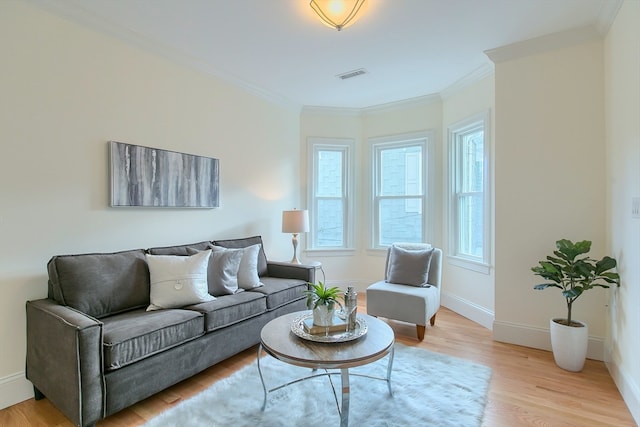 living room featuring ornamental molding and light hardwood / wood-style flooring