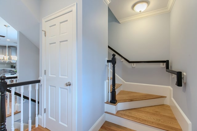 stairway featuring hardwood / wood-style flooring and ornamental molding