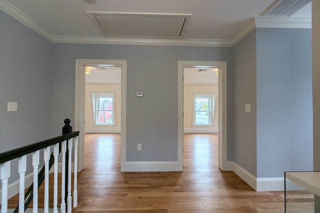 hall featuring light hardwood / wood-style flooring, crown molding, and plenty of natural light