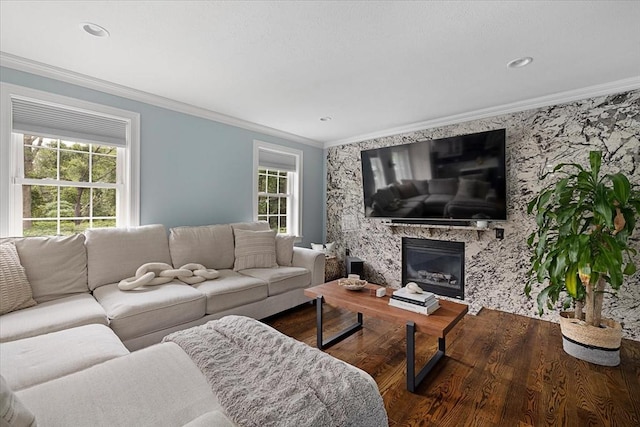 living area with crown molding, a fireplace, and wood finished floors