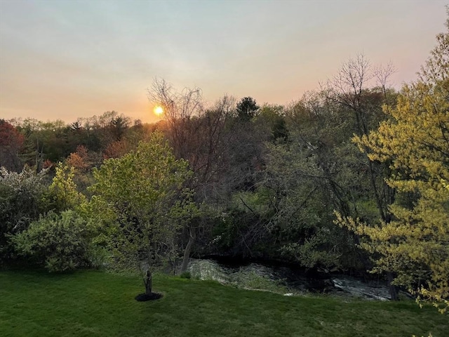 view of yard with a wooded view