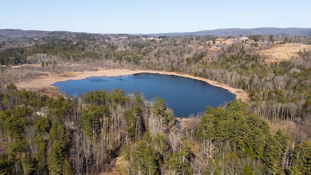 19AND21 Wheatley Dr, Stockbridge, MA 01262