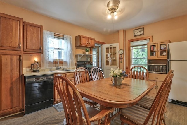 32 Carter St, Hudson, MA 01749 - dining room featuring wood finished floors, plenty of natural light, and a ceiling fan