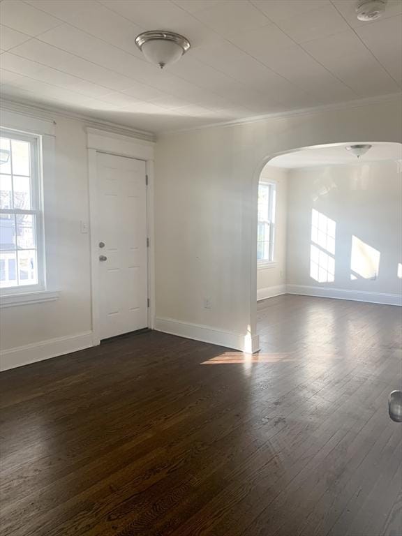 spare room with crown molding, plenty of natural light, and dark wood-type flooring