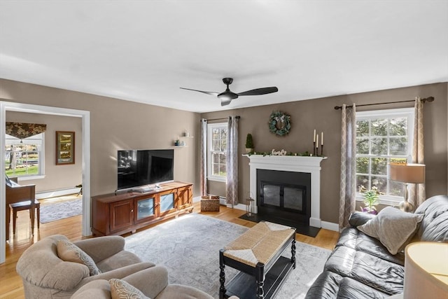 living room featuring a healthy amount of sunlight, ceiling fan, light wood finished floors, and a fireplace with flush hearth