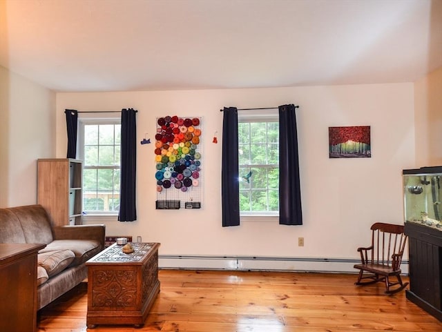 169 Lyman Rd, Berlin, MA 01503 - living room featuring plenty of natural light and light wood-style flooring