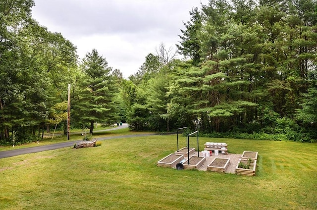 169 Lyman Rd, Berlin, MA 01503 - view of grassy yard with a garden
