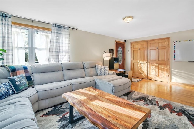 living room with light wood-type flooring