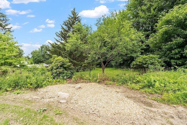 572 Pleasant St, Athol, MA 01331 - view of tree filled area