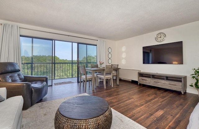 1 Summit Dr Unit 62, Reading, MA 01867 - living area featuring wood finished floors and a textured ceiling