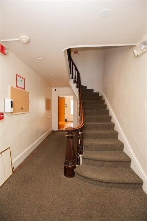 staircase featuring carpet