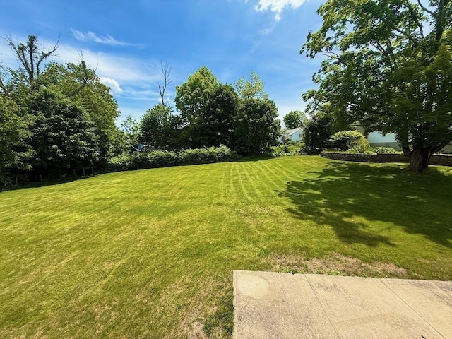 74 Fiske Hill Rd, Sturbridge, MA 01566 - view of grassy yard