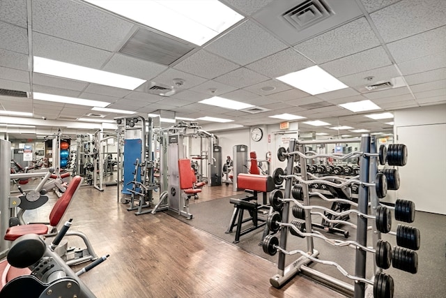 workout area with hardwood / wood-style floors and a paneled ceiling