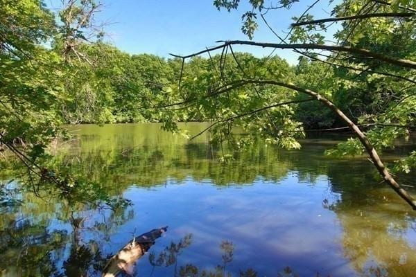 33 Pond Ave Unit Ph1208, Brookline, MA 02445 - water view featuring a heavily wooded area