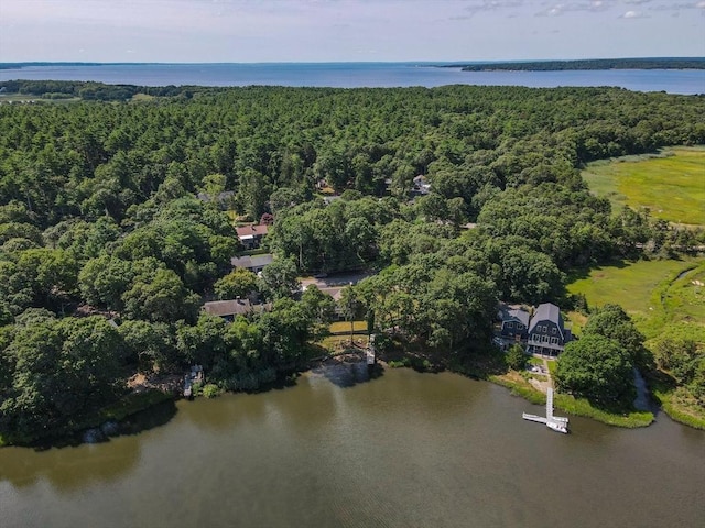 49 Edgewater Way, Wareham, MA 02571 - birds eye view of property with a forest view and a water view