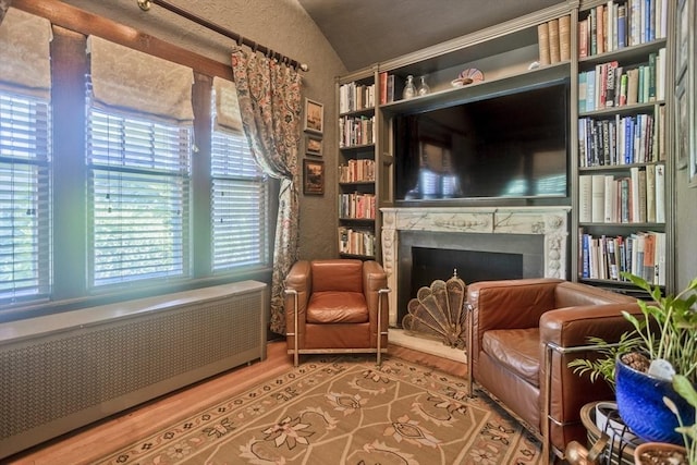 1142 Longmeadow St, Longmeadow, MA 01106 - living area featuring radiator, plenty of natural light, a high end fireplace, wood finished floors, and lofted ceiling